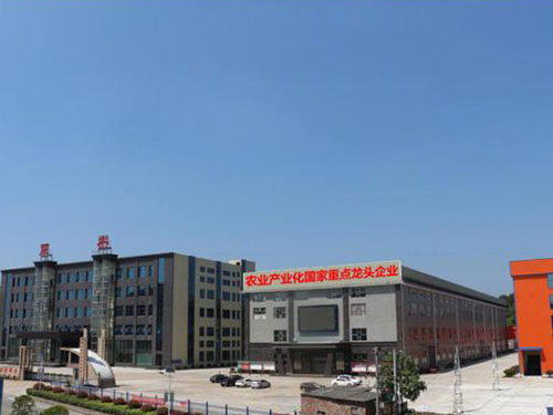 湖南軍杰辣椒,軍杰剁辣椒,湖南剁辣椒 湖南軍杰辣椒,軍杰剁辣椒,湖南剁辣椒
