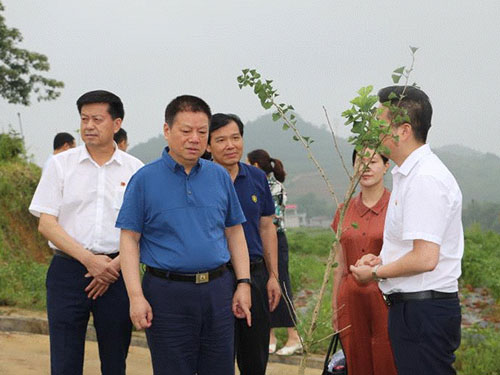 湖南軍杰辣椒,軍杰剁辣椒,湖南剁辣椒 湖南軍杰辣椒,軍杰剁辣椒,湖南剁辣椒