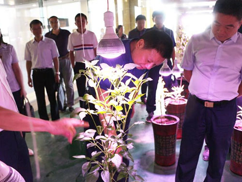 湖南軍杰辣椒,軍杰剁辣椒,湖南剁辣椒 湖南軍杰辣椒,軍杰剁辣椒,湖南剁辣椒